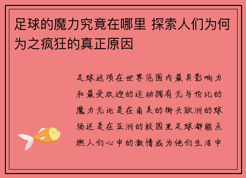 足球的魔力究竟在哪里 探索人们为何为之疯狂的真正原因 足球的魔力究竟在哪里 探索人们为何为之疯狂的真正原因
